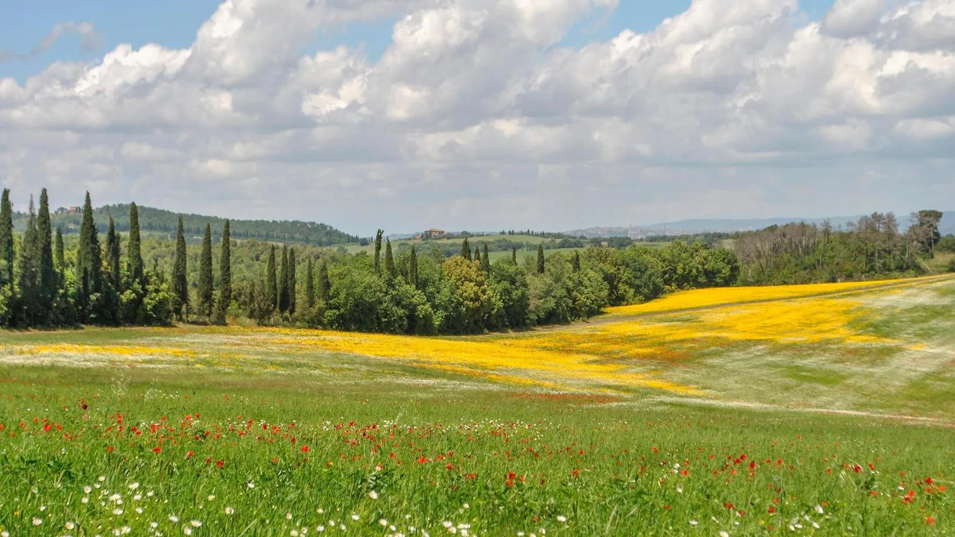 3 Bedroom Stunning Apartment In Rapolano Terme 0*,